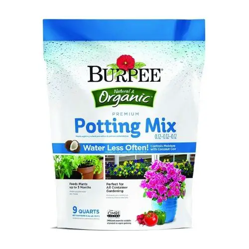 Best Potting Soil for Vegetables