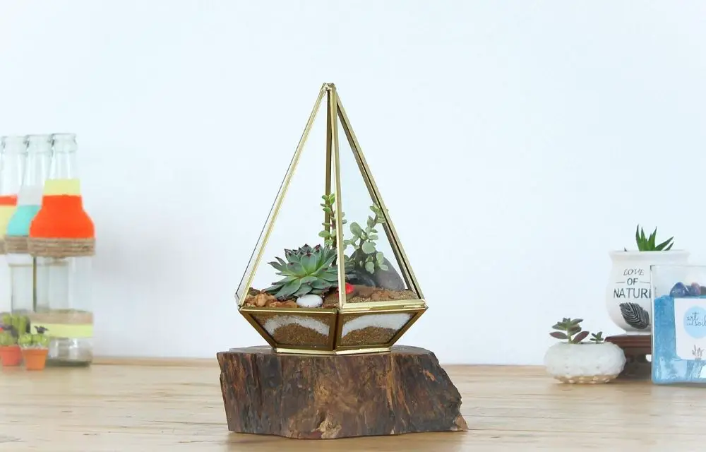 best plants for closed terrarium