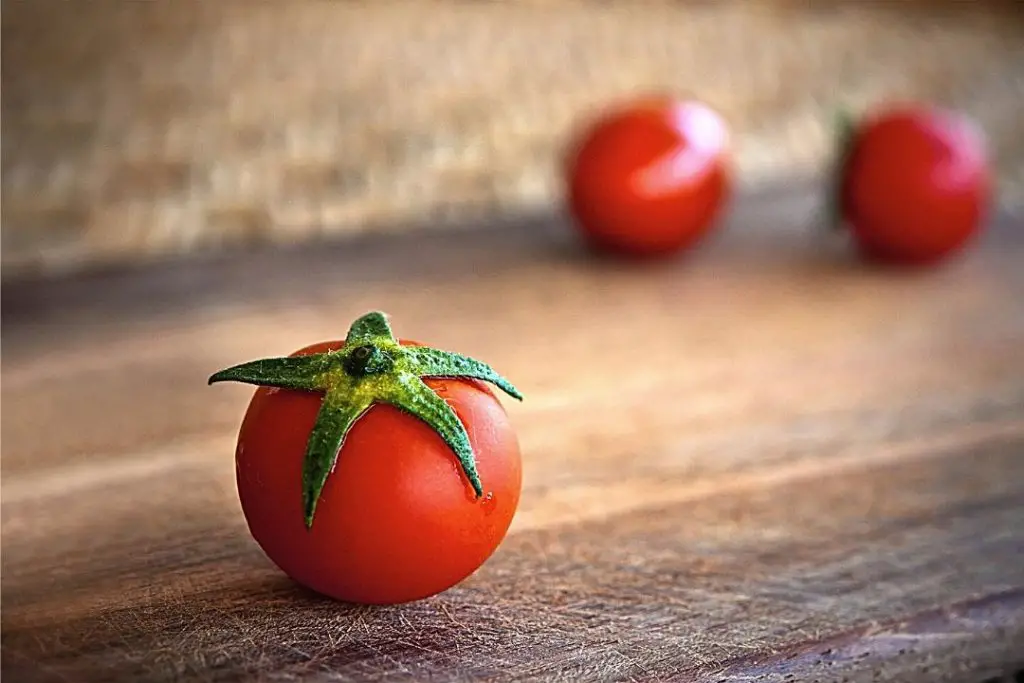 white spots on tomato leaves