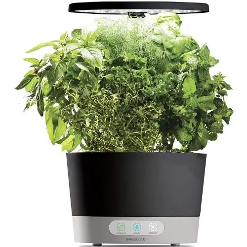 best aerogarden