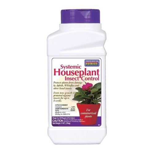 best insecticide for vegetable garden