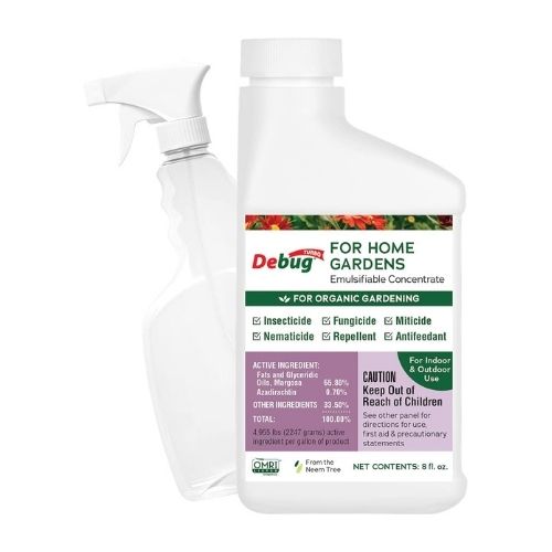 best insecticide for vegetable garden