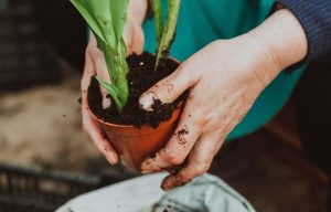 best moisture meter for plants