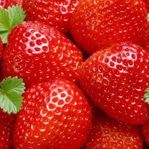 best tasting strawberry