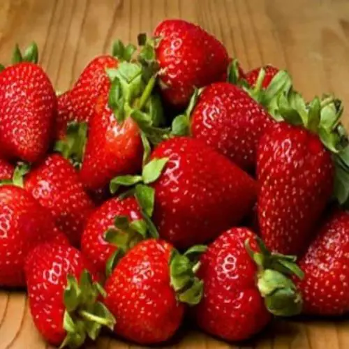 best tasting strawberry