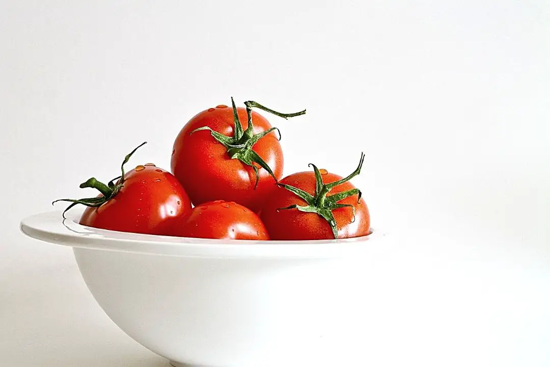 best tasting tomatoes to grow