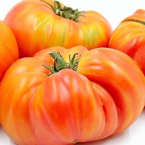 best tasting tomatoes to grow