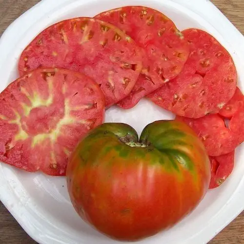 best tasting tomatoes to grow