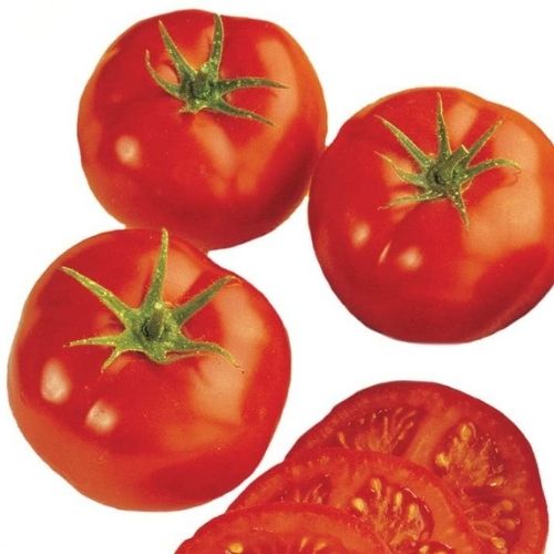 best tasting tomatoes to grow