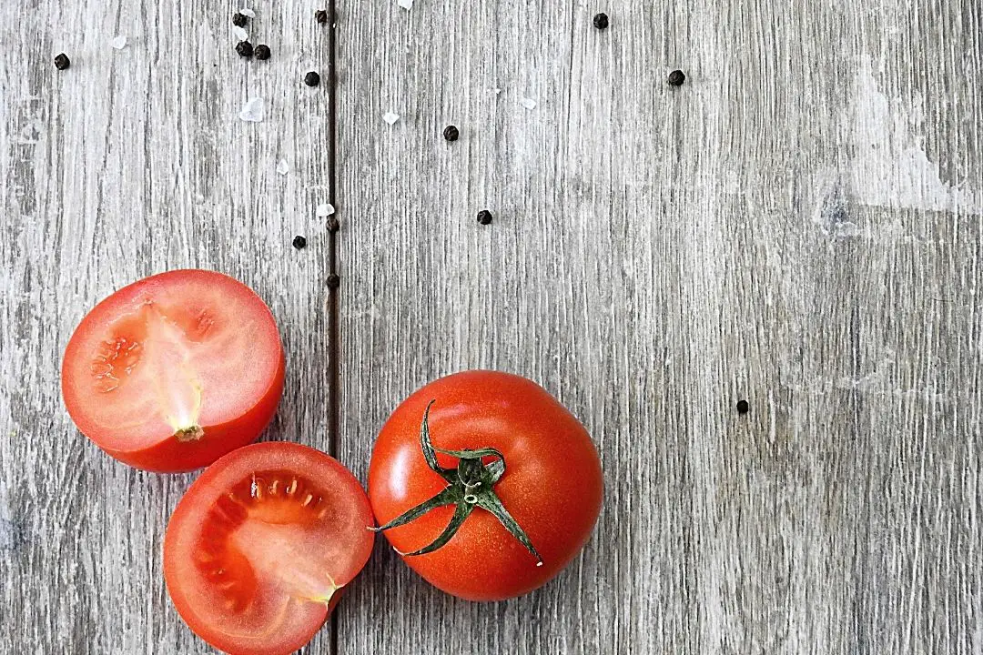 best tasting tomatoes to grow