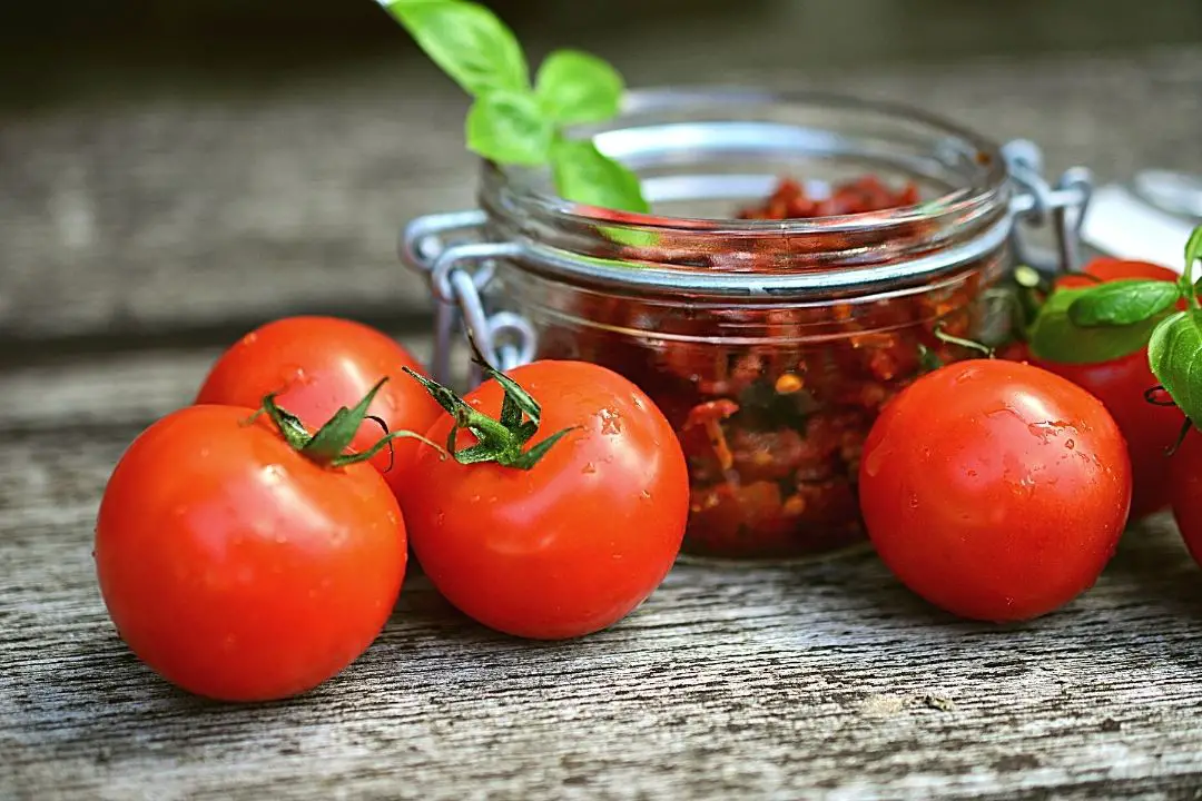 best tasting tomatoes to grow