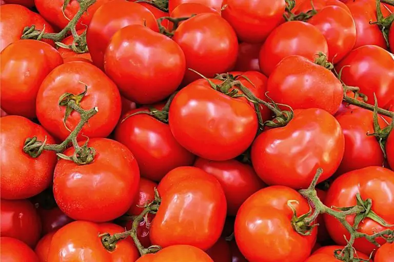 For example, the lack of nutrients such as nitrogen and phosphorus may