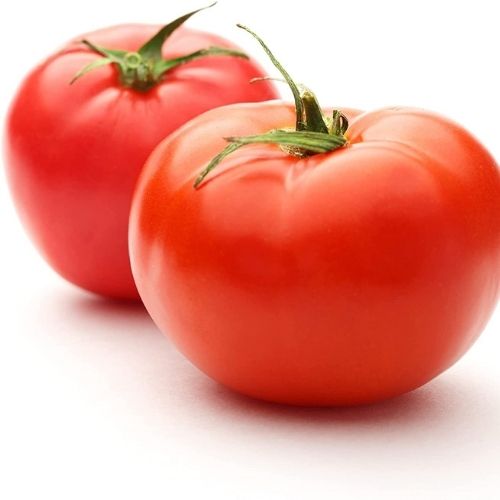 best tasting tomatoes to grow