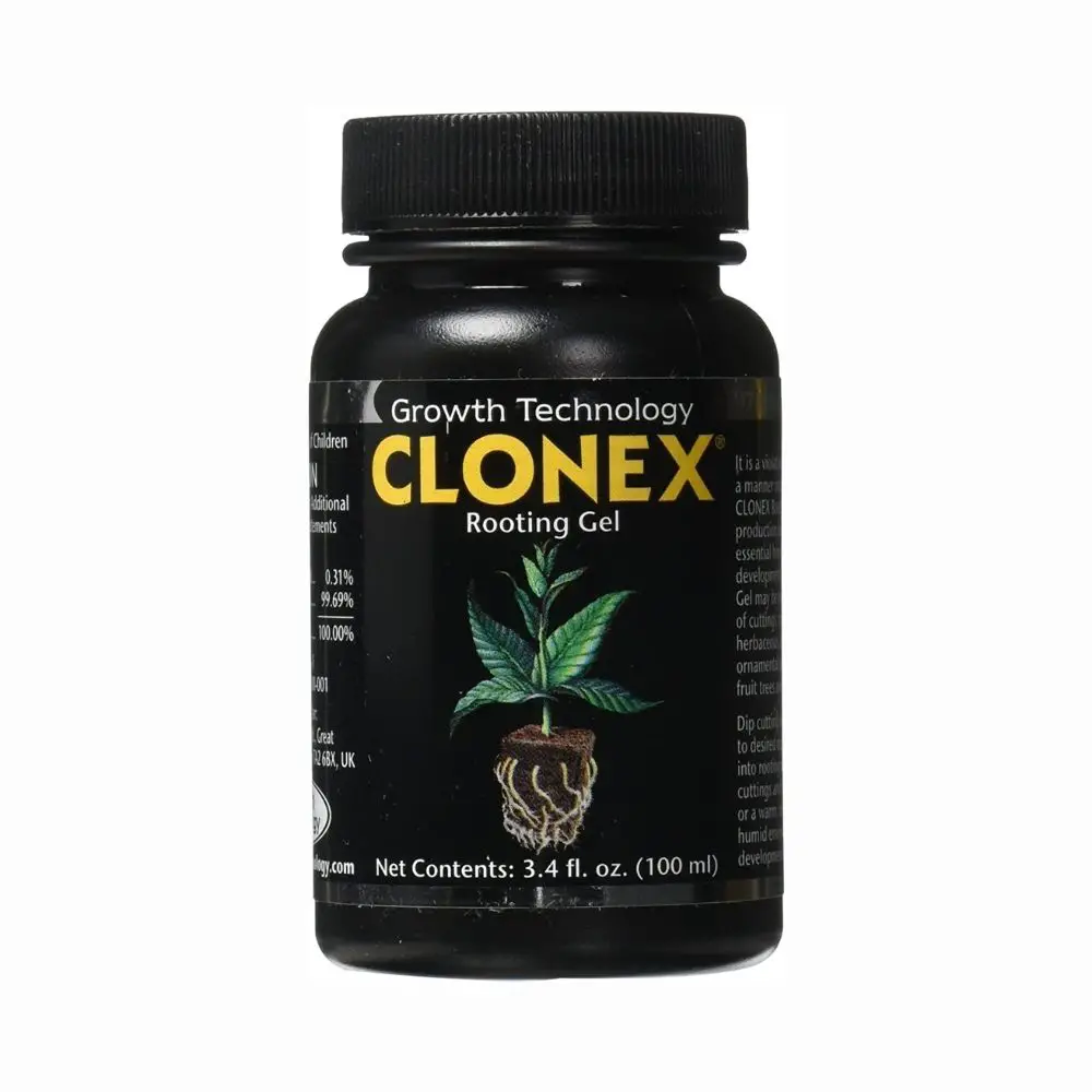 best rooting hormone