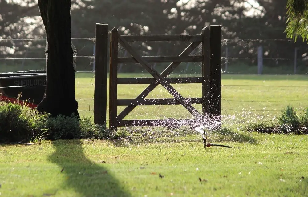 best oscillating sprinkler